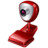 webcam Icon